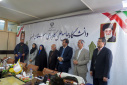 رقابت بیش از ۲۴۰ دانشجو در مسابقات ورزشی دانشگاه جامع علمی کاربردی البرز